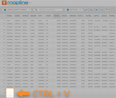 Screenshot of a Mapline dataset, with the bottom blank rows highlighted and CTRL + V pointing to the blank rows.