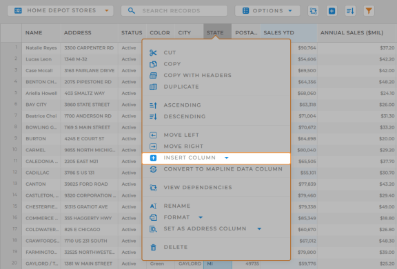 Insert a new dataset row